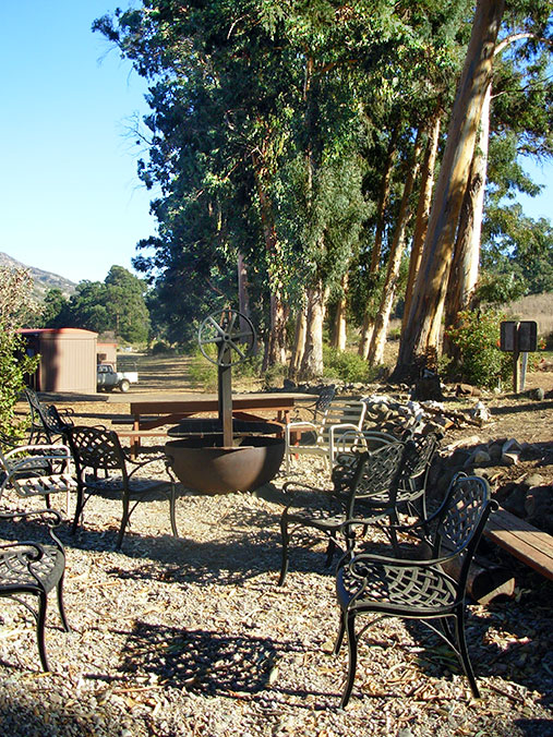 Field Station BBQ