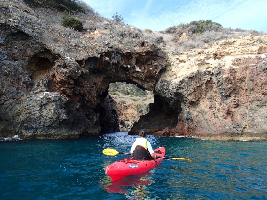 Kayak Arrival