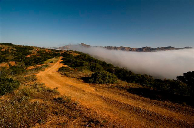 ridge road fog